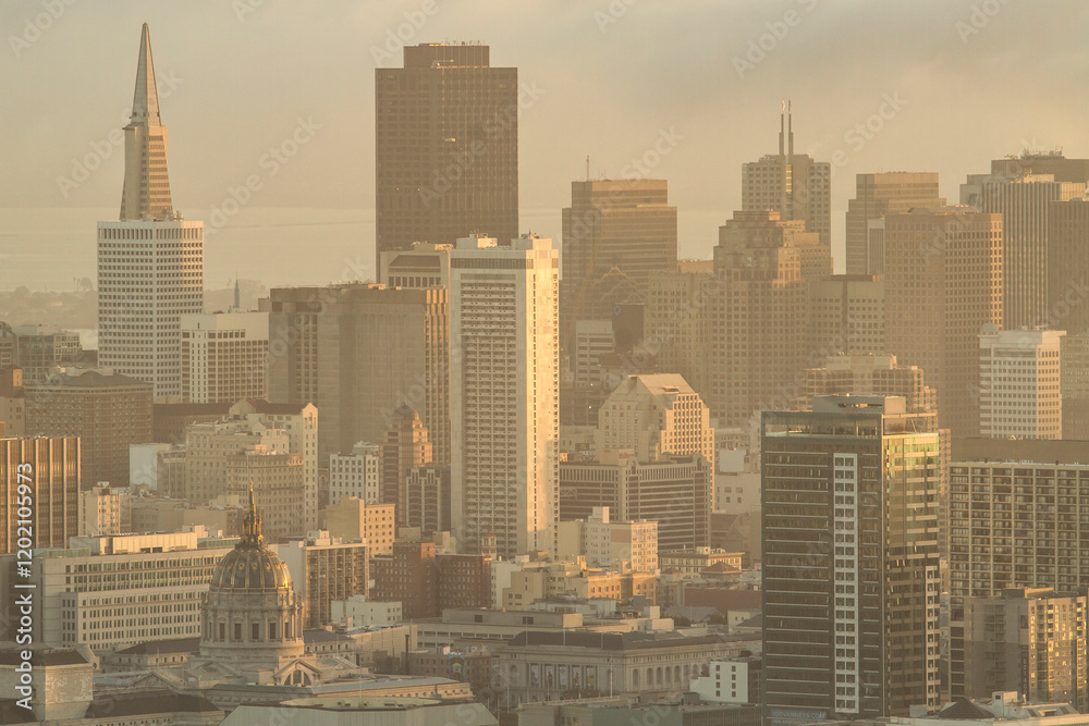 city