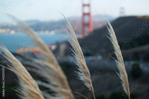 Obraz na płótnie ears of wheat w salonie