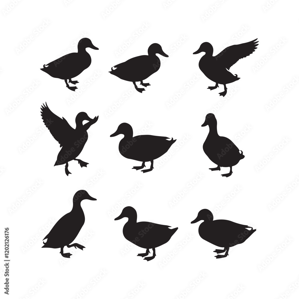 Obraz premium swan birds animals goose cartoon character icon set collection silhouette vector art flat design illustrations