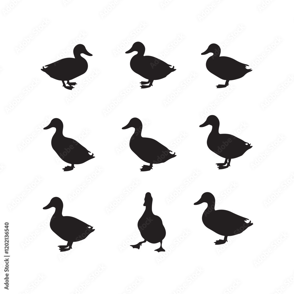 swan birds duck animals cartoon character icon set collection silhouette vector art flat design illustrations swan birds duck animals cartoon character icon set collection silhouette vector art flat design illustrations