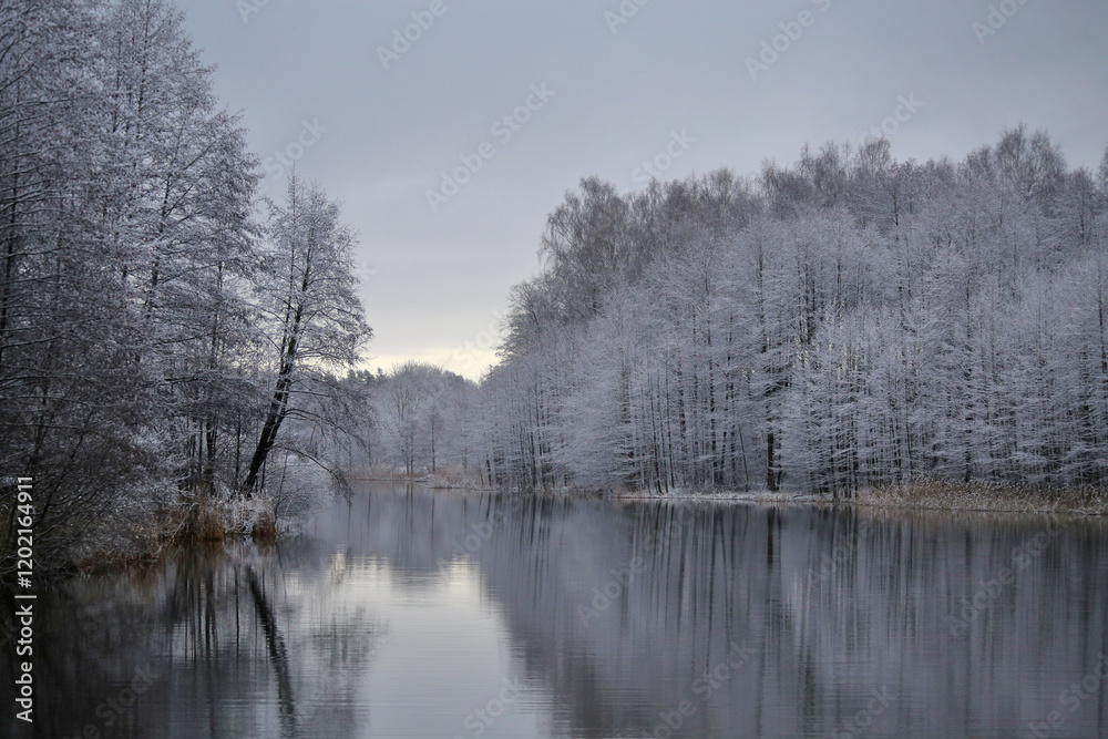 Winter landscape of a lake, trees, bushes, shore in snow. Winter landscape of a lake, trees, bushes, shore in snow.