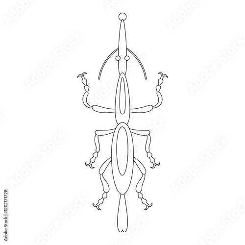 Coloring book of bug, thin green beetle. Doodle insect. Nature and biodiversity insect specie. Beetle vector flat illustration.