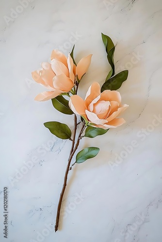 A single magnolia tree in full bloom with soft pink flowers and a balanced shape, isolated on a clean white canvas