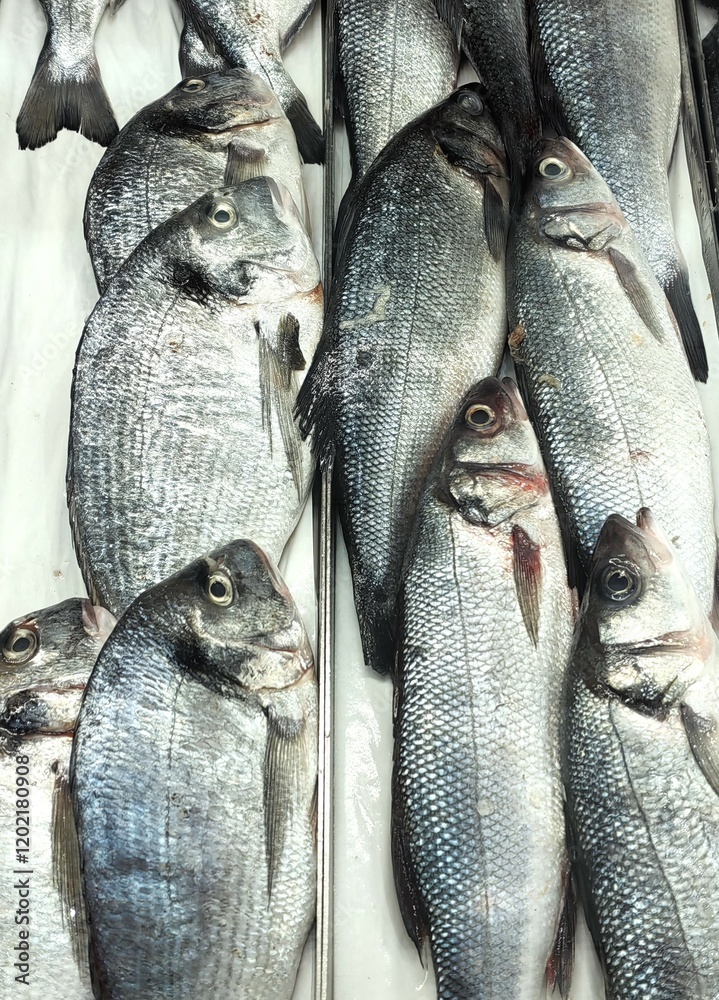 Obraz premium fresh fish sea ​​trout on the market on ice