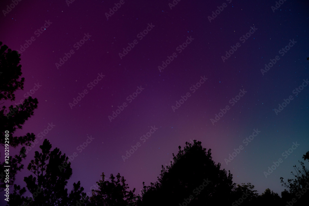 Naklejka premium Northern Lights