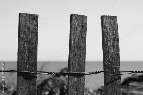 old wooden fence in black and white