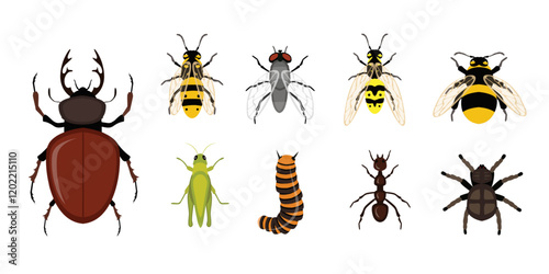 Various insects flat vector illustrations set. Bee, wasp and bumblebee. Fly, stag beetle and ant. different tiny pests. Grasshopper, caterpillar and spider.