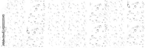 Quadro su tela transparent raindrops on a transparent background, close-up, png, isolated