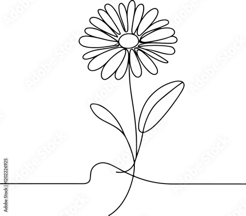 Beautiful Daisy Flower Line Art Vector for Graphic Designers