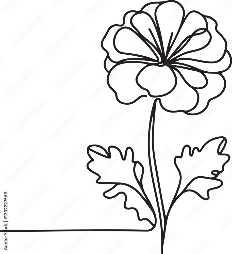Vector Art of Geranium Flower in Line Drawing Style Vector Art of Geranium Flower in Line Drawing Style
