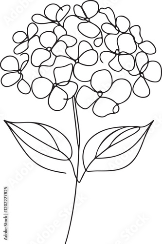 Hydrangea Flower Line Art for Elegant Vector Design