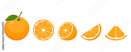 Vector collection of fresh oranges. Orange fruit isolated on white background. Vector illustration for design and print.