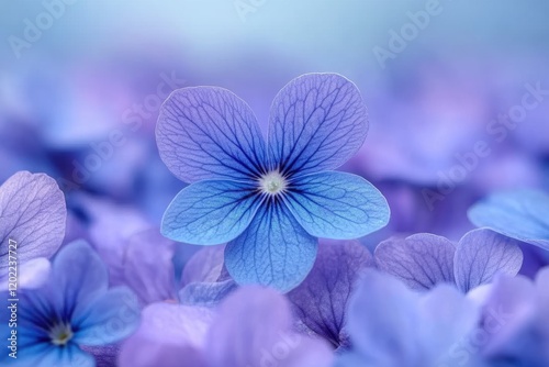 Delicate Blue Flower Close Up Soft Focus Floral Image