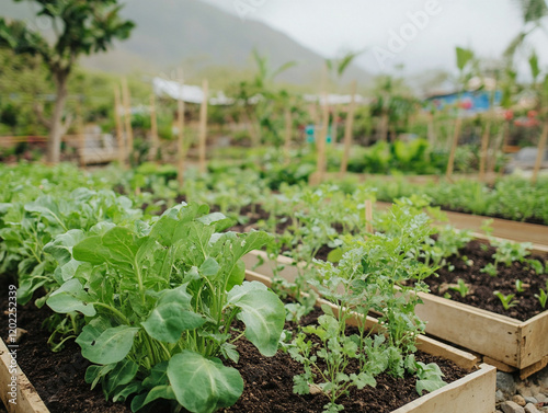 Lush Vegetable Farm