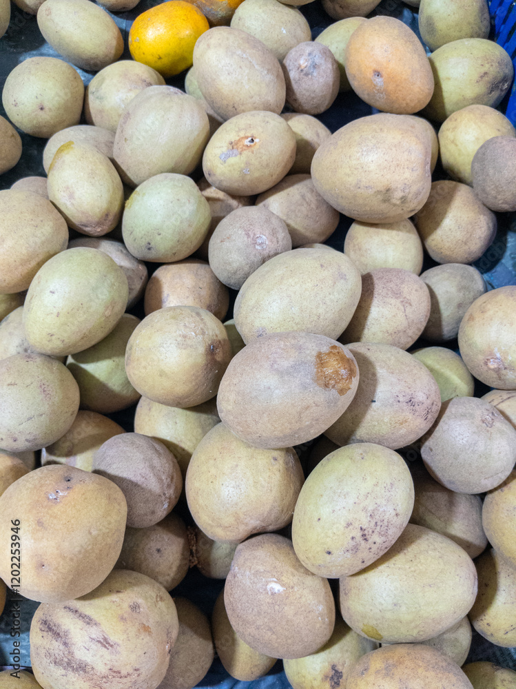 Sapodilla Pile A Rustic Still Life of Creamy Beige Fruits Sapodilla Pile A Rustic Still Life of Creamy Beige Fruits