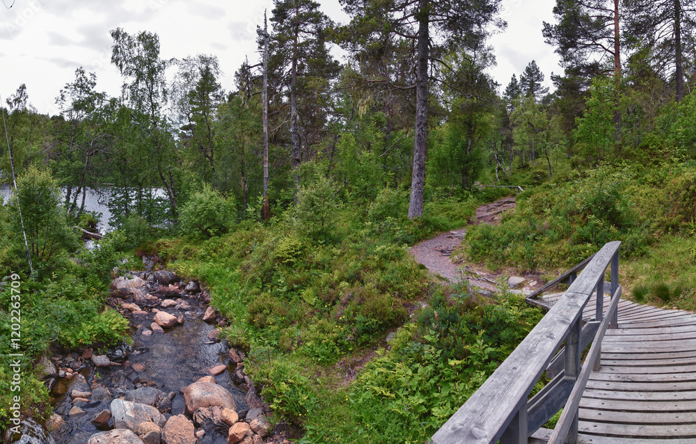 Varden viewpoint hiking trail views, fjord city of Molde mountain forests surrounded by ocean islands summer 2024, Norway Scandinavia Europe.
