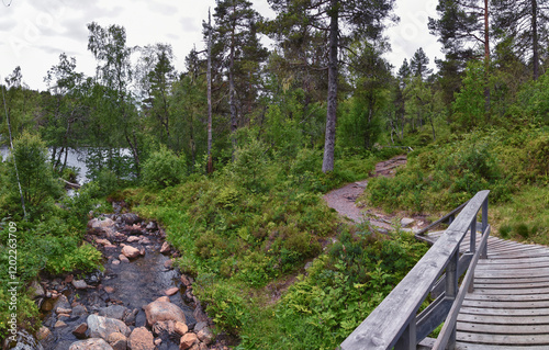 Varden viewpoint hiking trail views, fjord city of Molde mountain forests surrounded by ocean islands summer 2024, Norway Scandinavia Europe.