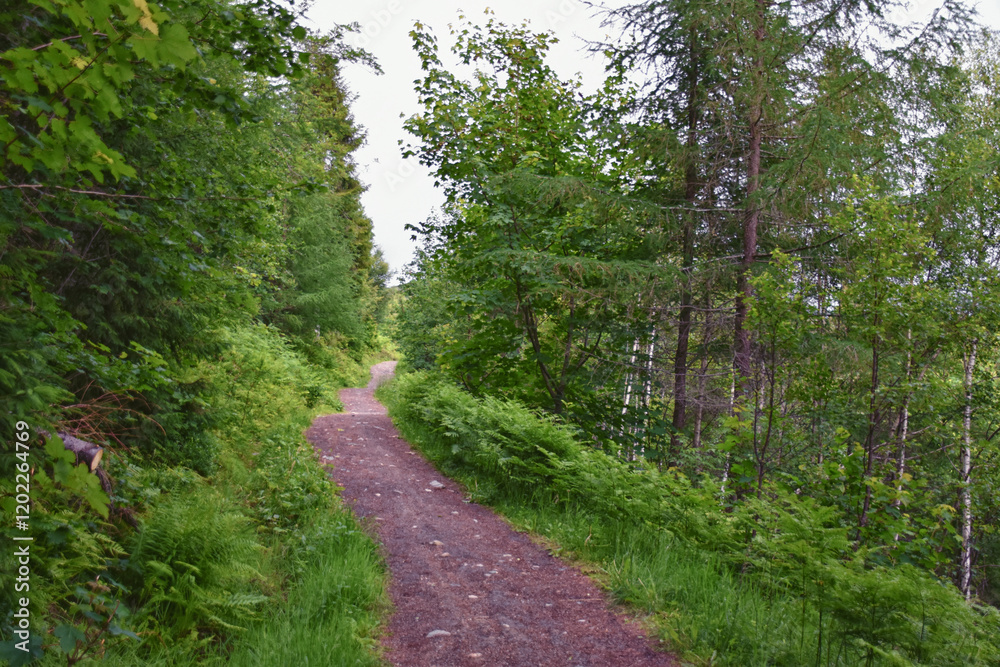 Fototapeta premium Varden viewpoint hiking trail views, fjord city of Molde mountain forests surrounded by ocean islands summer 2024, Norway Scandinavia Europe.
