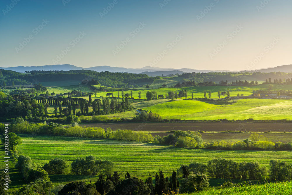 Obraz premium Panoramic view of the Buonconvento countryside from the Route of Via Francigena. Tuscany, Italy
