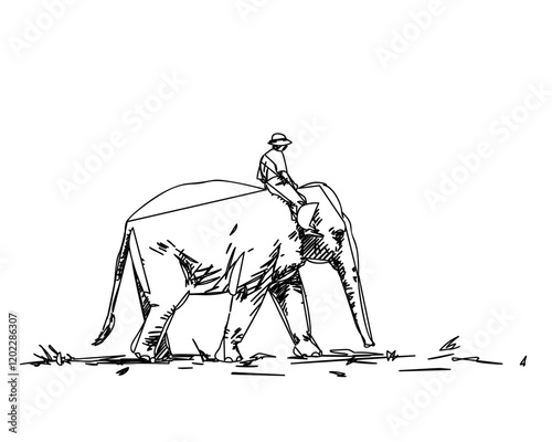 Man riding elephant, Hand drawn abstract line art illustration, Walking elephant with man on the back
