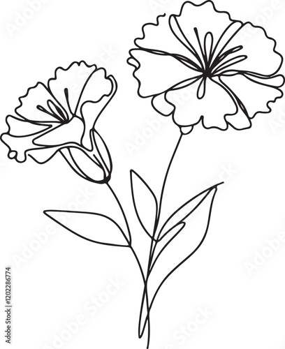 Elegant Dianthus Flower Line Drawing for Designers