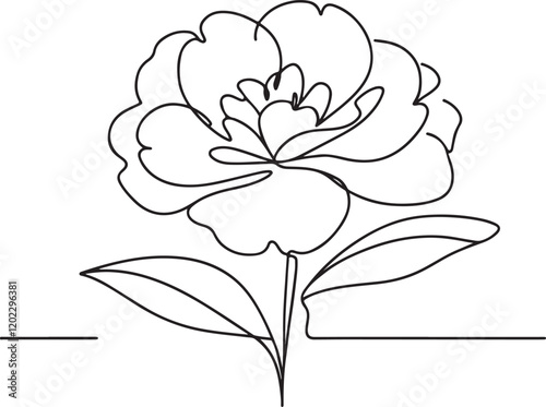 Stunning Line Drawing of Camellia Flower - Vector Art