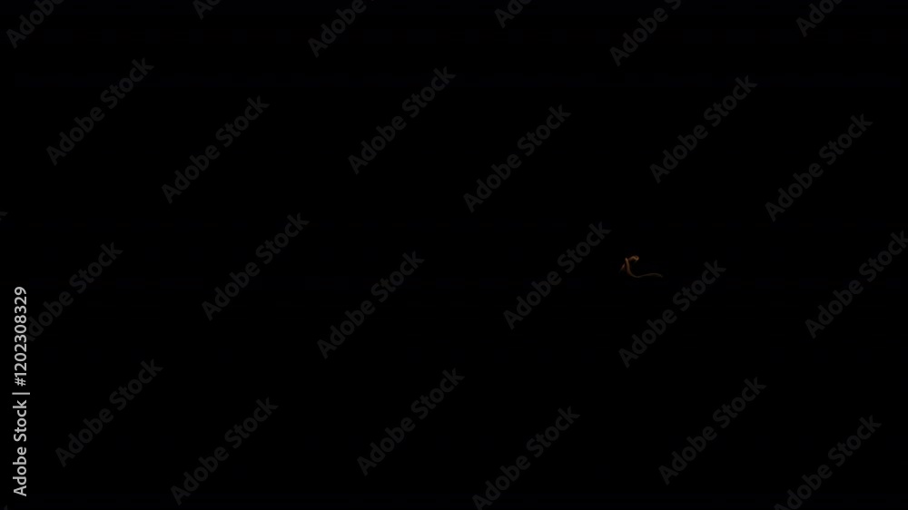 Fire and flame on alpha channel 4K. Realistic burning fire on the ground. Fire visual effect isolated on black color. Great for VFX overlay in Cinematic films using blending modes. Fire and flame on alpha channel 4K. Realistic burning fire on the ground. Fire visual effect isolated on black color. Great for VFX overlay in Cinematic films using blending modes.