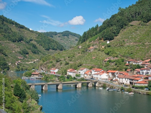 Ribeira Sacra vineyards at Belesar, Miño River, Lugo, Galicia, Spain