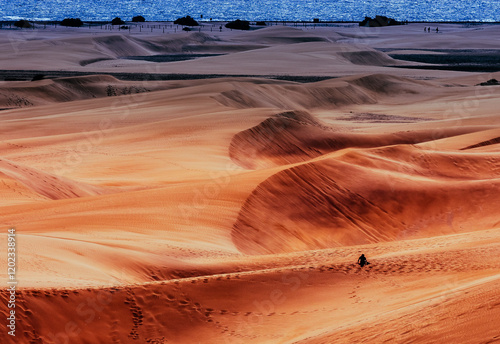 Dünnen von Maspalomas Gran Canaria Spanien  photo