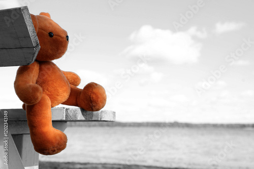 Lonely teddy bear on bench near river, space for text photo