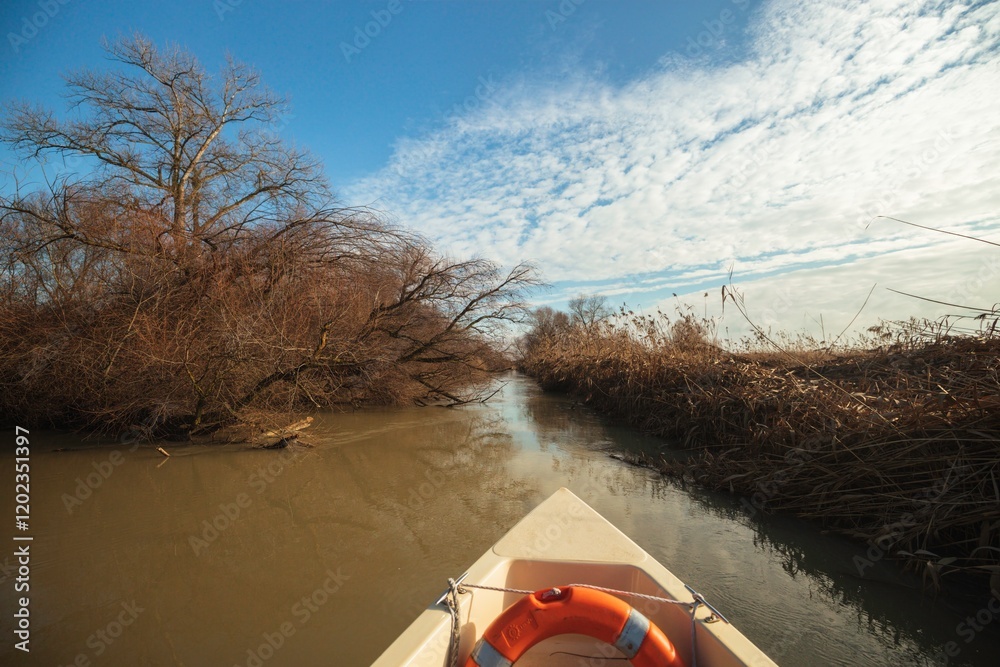 A vivid journey through narrow waterways reveals stark, bare trees along the banks reflecting the serene beauty of nature. The clear blue sky enhances the peaceful atmosphere A vivid journey through narrow waterways reveals stark, bare trees along the banks reflecting the serene beauty of nature. The clear blue sky enhances the peaceful atmosphere