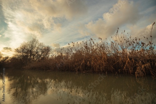 Soft light bathes the river as the sun sets behind cottony clouds, creating golden reflections on the water's surface. Reeds sway gently in the late afternoon breeze