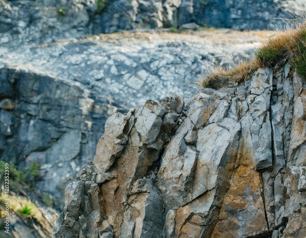 Fototapeta premium Nature Backgrounds: The Beauty of the Wild in Visual Harmony