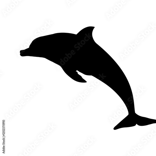 set of dolphin silhouettes - vector illustration