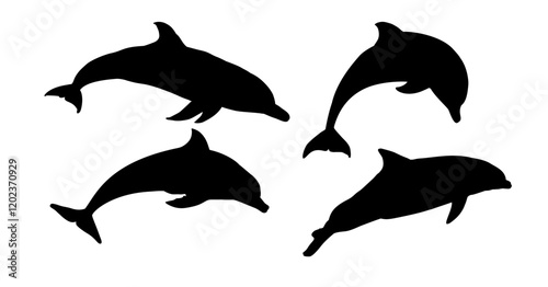 set of dolphin silhouettes - vector illustration