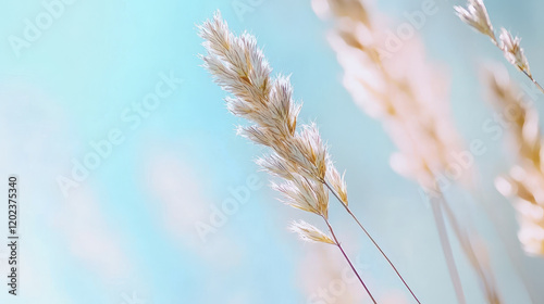 Soft pastel gradient background with delicate grass stems swaying gently