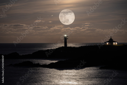 Obraz na płótnie First full moon of the year 2025, the wolf moon!...I can still hear the howls! w salonie