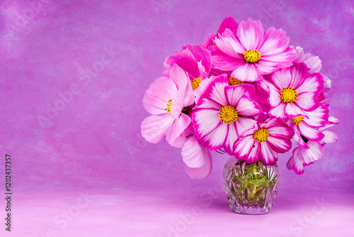 Wallpaper Mural Beautiful pink cosmos flowers on background Torontodigital.ca