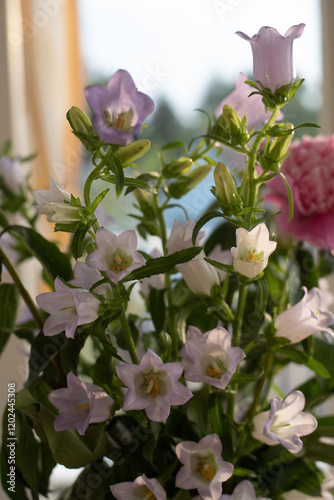 bouquet of flowers, bellflowers and peonies, happiness calm joy 
