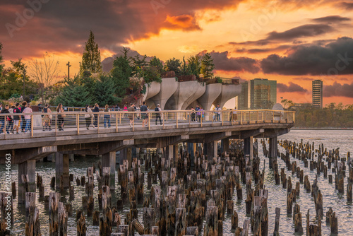 atardecer en nueva york photo