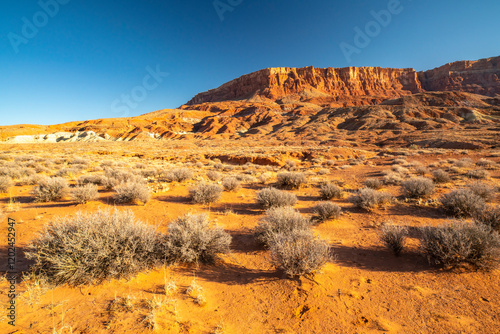 USA, Arizona, Vermillion Cliffs National Monument. Cliff and bushes in arid landscape.