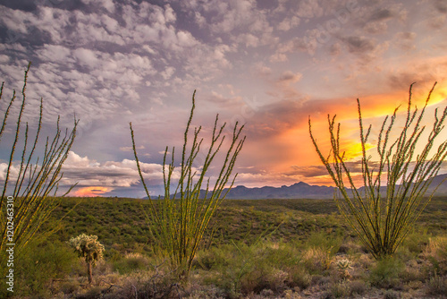 USA, Arizona, Santa Cruz County. Sunset on desert.