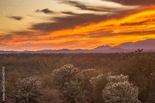 Canvas Print USA, Arizona, Santa Rita Mountains