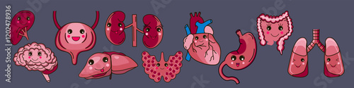 Set of human organs icons. Digestive organs, heart, thyroid gland, brain.Vector illustration