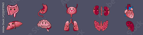 Set of human organs icons. Digestive organs, heart, thyroid gland, brain.Vector illustration