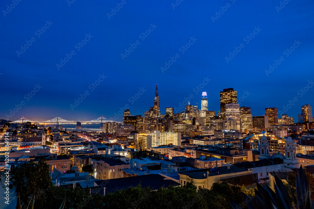 Fototapeta premium City skyline from Russian Hill in San Francisco, California, USA.