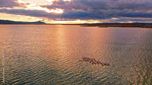 A stunning lakeside scene at sunset, showcasing a vibrant flock of birds gracefully taking flight over the shimmering water. Perfect for themes of nature, freedom, and serene beauty. photo