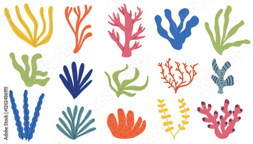 Ocean Algae Illustration in hand drawn style