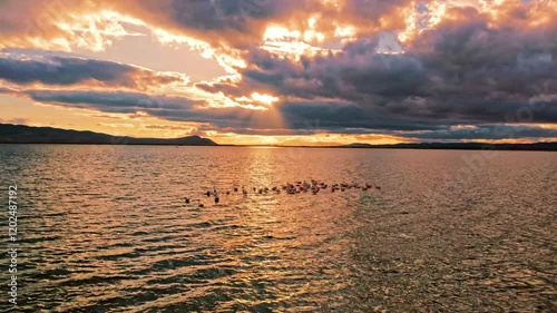 A stunning lakeside scene at sunset, showcasing a vibrant flock of birds gracefully taking flight over the shimmering water. Perfect for themes of nature, freedom, and serene beauty. photo