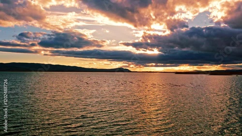 A stunning lakeside scene at sunset, showcasing a vibrant flock of birds gracefully taking flight over the shimmering water. Perfect for themes of nature, freedom, and serene beauty. photo